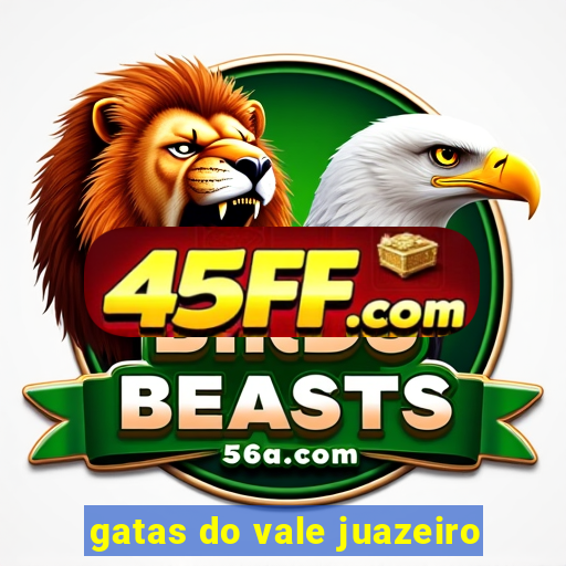gatas do vale juazeiro
